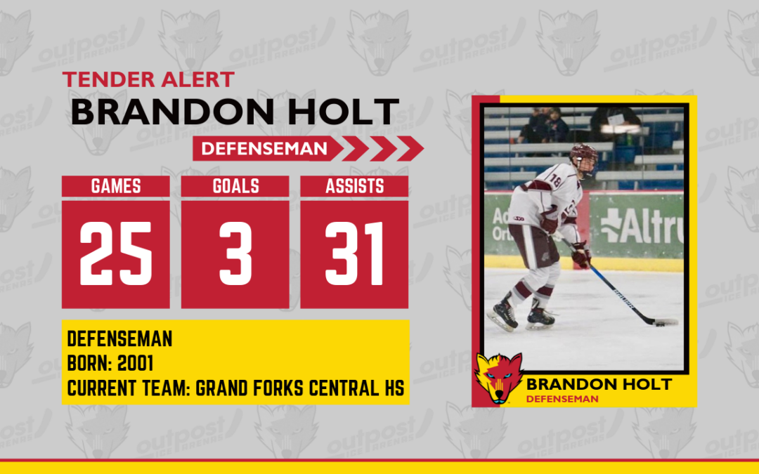 Brandon Holt Signs Ice Wolves Tender