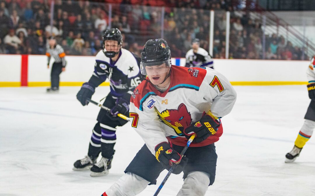 Ice Wolves fall to Lone Star, 4-0