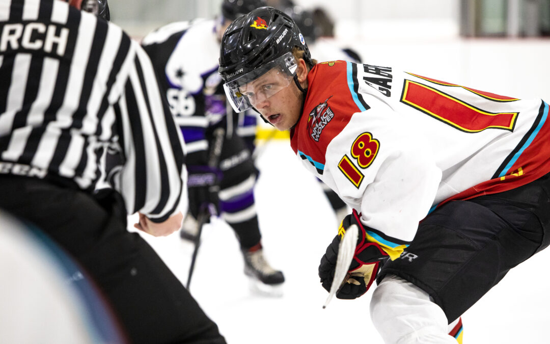 Weekend Preview 12/6-12/7 vs. Shreveport