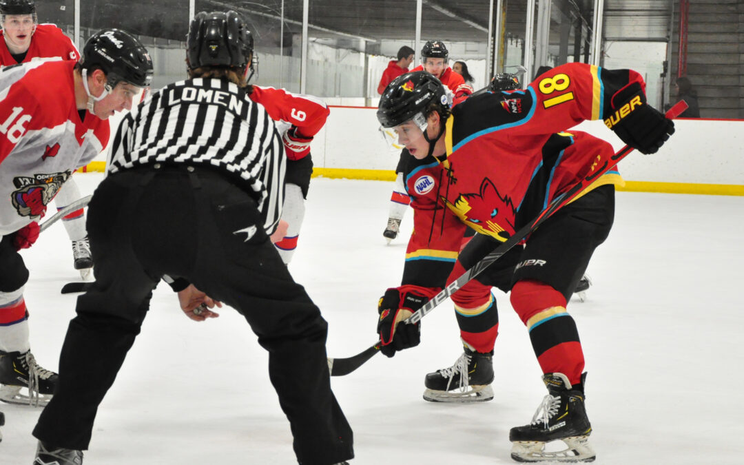 Ice Wolves spread the love on Valentine’s Day