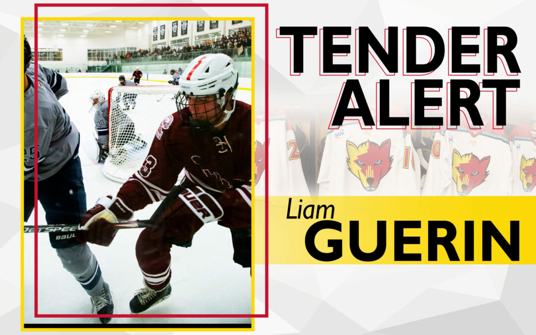 Ice Wolves tender Liam Guerin