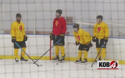 IN THE NEWS: Group of former Ice Wolves playing college hockey