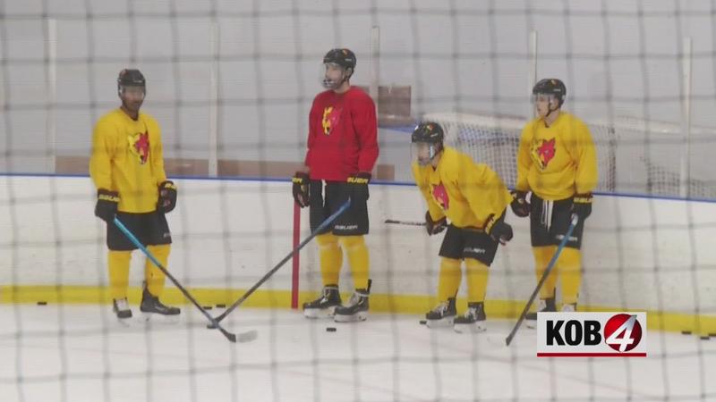 IN THE NEWS: Group of former Ice Wolves playing college hockey