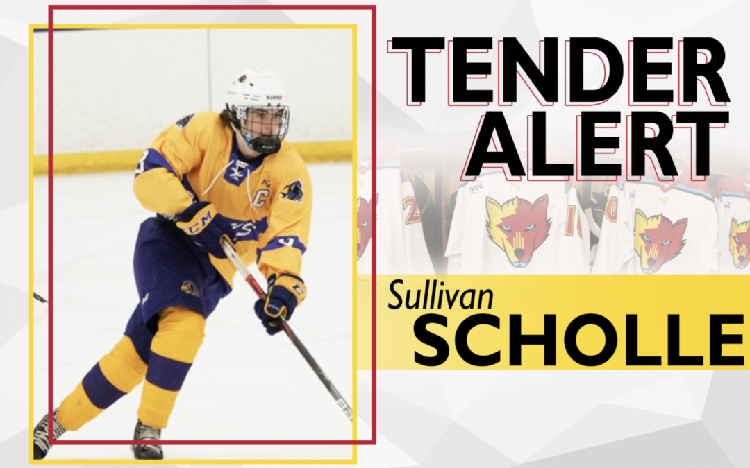 Ice Wolves tender forward Sullivan Scholle