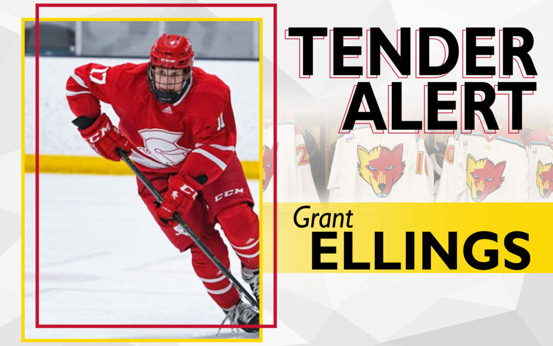 Ice Wolves tender Grant Ellings