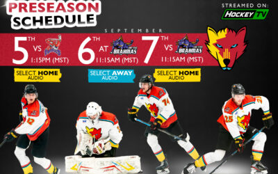 Preseason Schedule Released