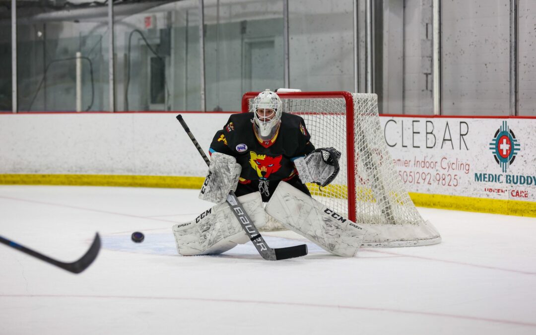 Ice Wolves have come up big with goaltender from Hungary