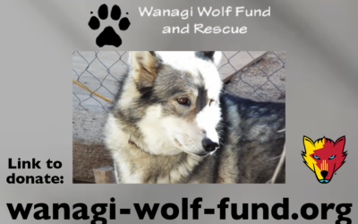 Wanagi Wolf Fund & Rescue