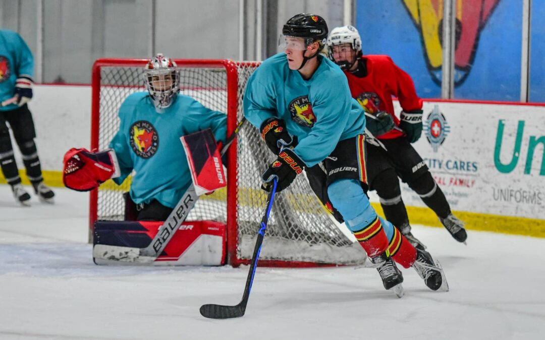 The Ice Wolves Den