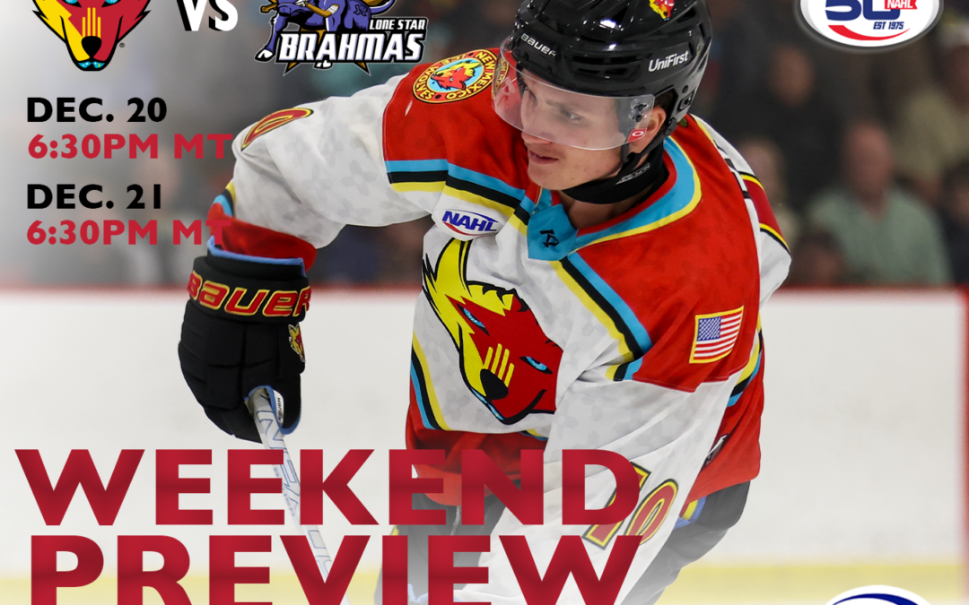 Weekend Preview 12/20-12/21