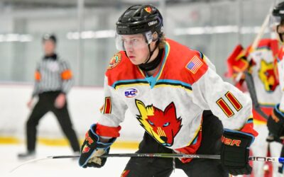 Ice Wolves Den- Andy Earl