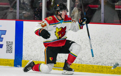 Ice Wolves Den – Brady Borgestad