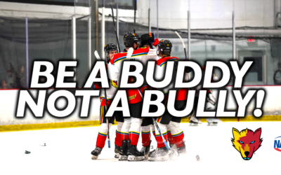 Be a Buddy, Not a Bully!