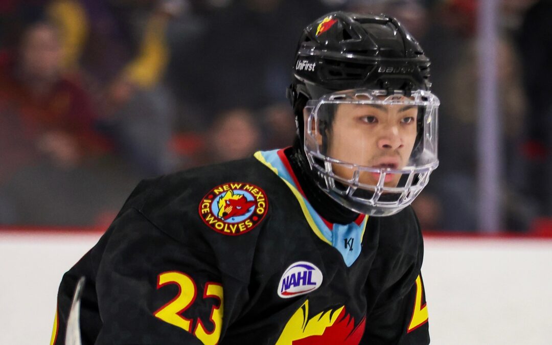 Game Recap Ice Wolves @ Mudbugs 1/3/26